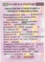 Займ под залог ПТС по трем документам: свидетельство о регистрации транспортного средства (СТС). Автоломбард Екатеринбург